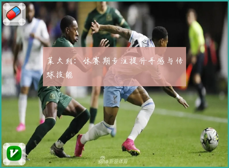 莱夫利：休赛期专注提升手感与传球技能